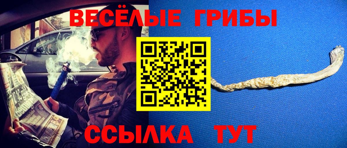 Солнечногорск  Галлюциногенные грибы мицелий  Вход с VPN  Псилоцибиновые грибы GOLDEN TEACHER 
